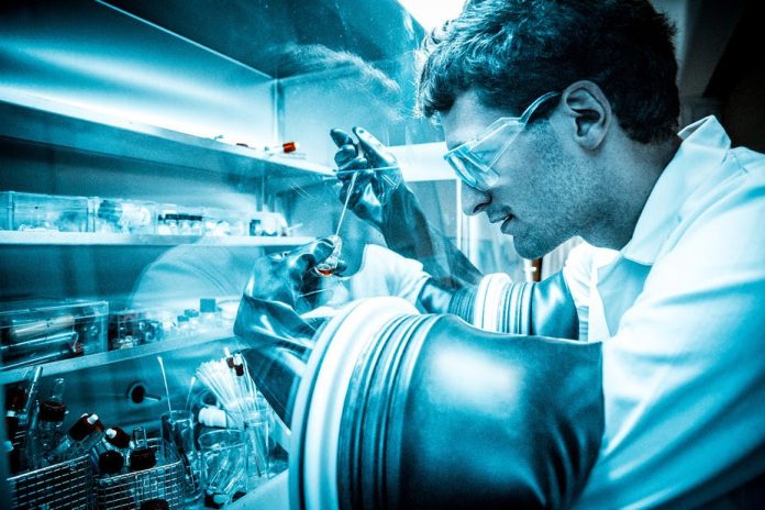 file-20170511-32618-121i8zo